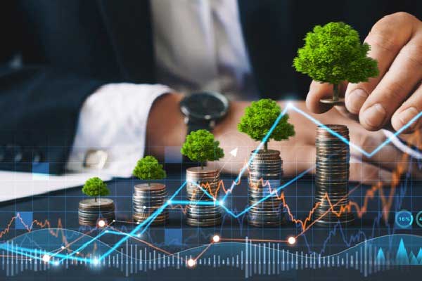 今世缘等成立文化传媒公司，经营范围含航空服务