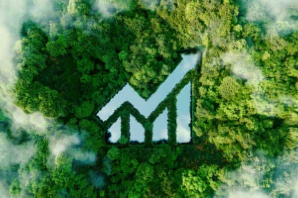 北交所二轮问询睿健医疗：关联交易“让利”且账期长，实控人向销售总监转款千万