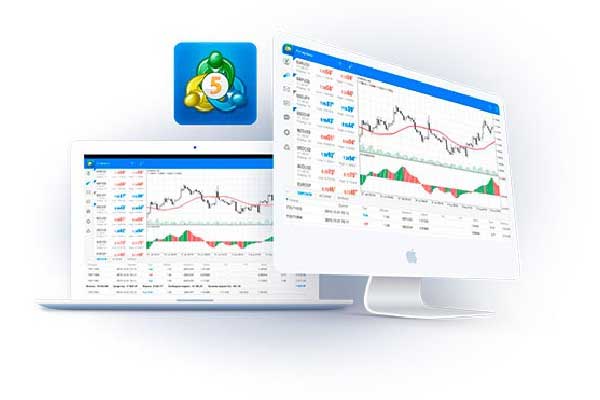 金浔资源午前涨超5% 昨日发生转仓存仓行为公司称更名符合主营业务发展需要