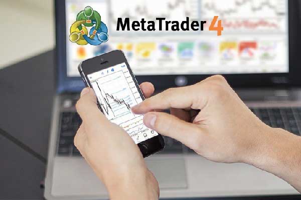 金浔资源午前涨超5% 昨日发生转仓存仓行为公司称更名符合主营业务发展需要